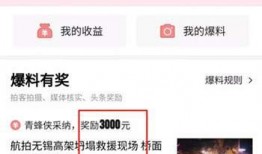 今日头条爆料有个认证,神秘认证横空出世，揭秘背后真相！