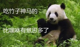 社会熊猫新闻爆料是真的吗,真相揭秘，事件真实性调查