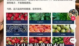今日吃瓜必吃大瓜独家爆料,今日吃瓜必吃大瓜，内幕曝光令人震惊！