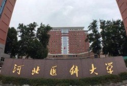 河北大学城爆料案件最新,真相揭开，校园安全再引关注