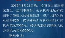 刑事案件爆料视频播放,网络爆料视频揭示的刑事案件内幕