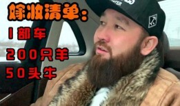 胡子哥前妻爆料视频,揭秘婚姻内幕与情感纠葛