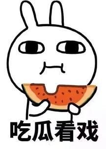 娱乐吃瓜酱工资